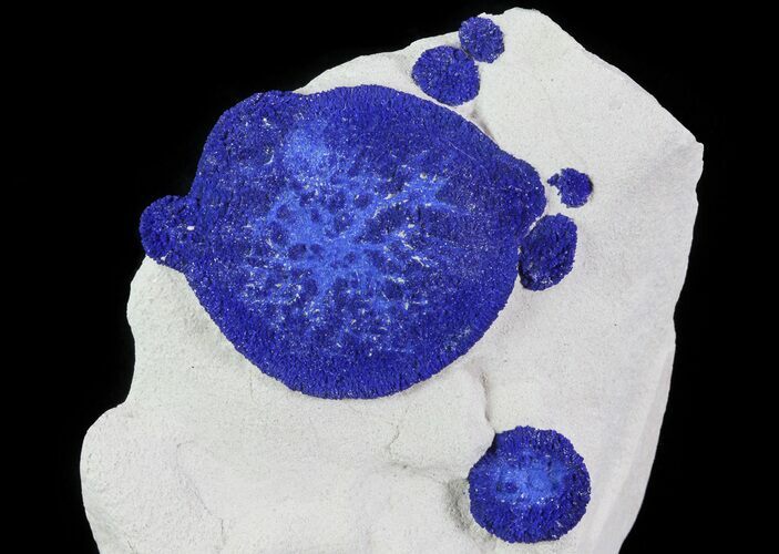 Brilliant Blue Azurite Sun Cluster On Rock - Australia #64281